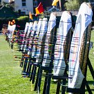 Line of targets full of arrows ready for scoring