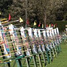 Targets full of arrows ready to be scored